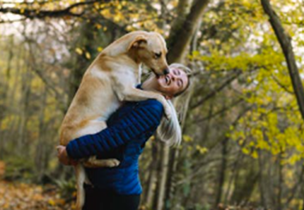 Cane rubato a Bologna e ritrovato grazie ai social
